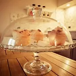 Bed & Breakfast Aurora Bergamo